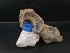 Bone Fossil Unknown Species Hip Bone Fragment 